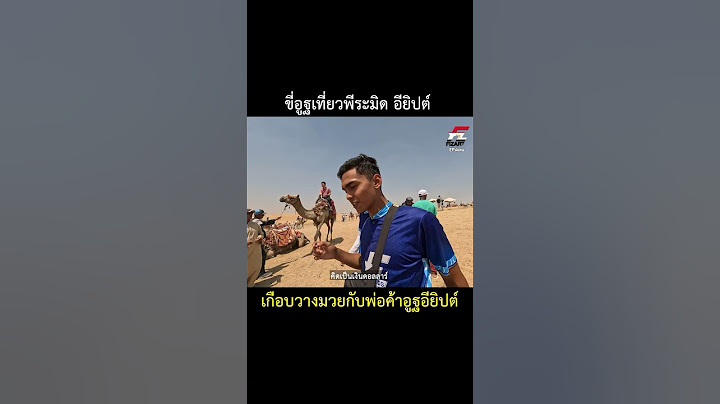 ยูซุฟเล่นเชิงพ่อค้าอูฐ อียิปต์ ต่อราคาโหด เที่ยวพีระมิด