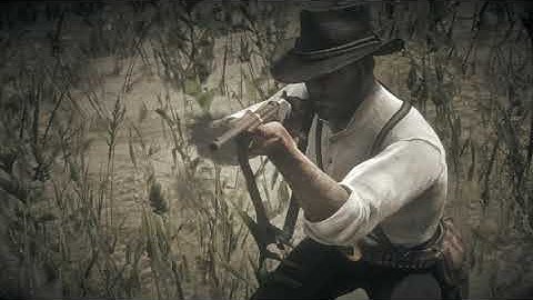 Red Dead Redemption 2 Walkthrough (Part 12) Saving Sean
