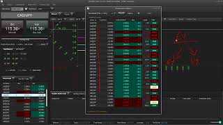 The Math Algorithm That Made 2000% In 10 Forex Days