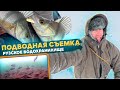 ПОДВОДНАЯ СЪЕМКА. Окунь Рузского вдхр. Рыбалка с #OnlySpin