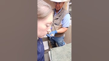 Ex2 Skill 45 Rat SQ Injection