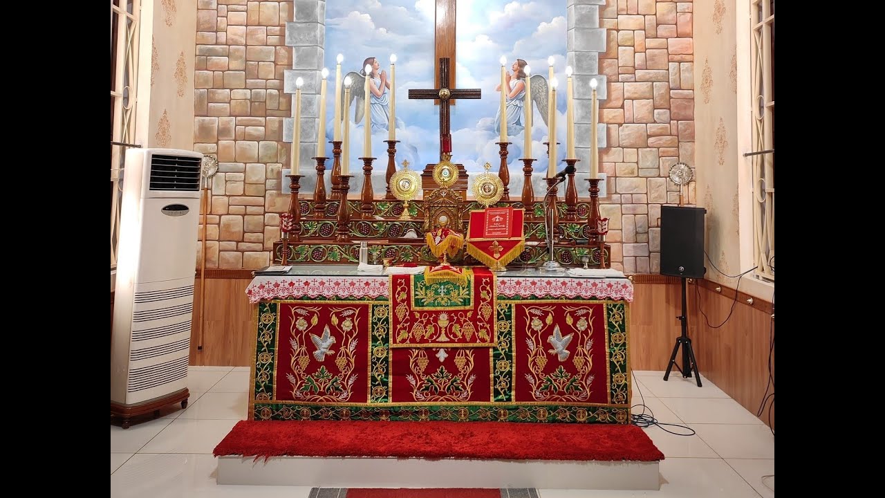 വി.കുർബാന LIVE - 28/12/2025 SUNDAY - ST JOSEPH'S CATHEDRAL, KOTTAYAM..