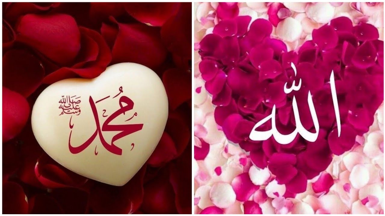 New Beautiful Allah dp|#Allah dp images|#Allah dp pic | #muhammadﷺ ...