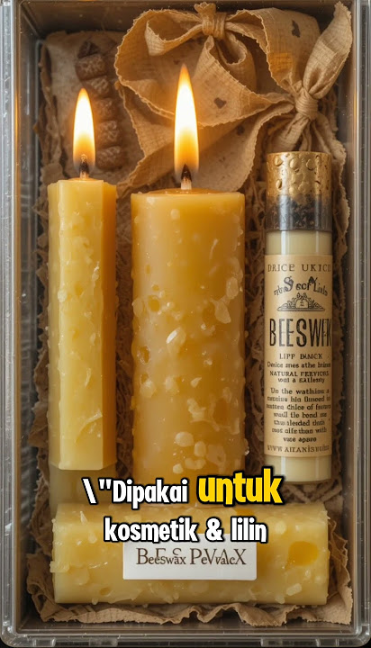 Products from the Bee Stomach #bees #uniquefacts #honeybees