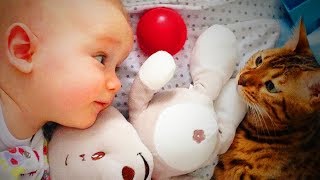 Funny Cats Playing With Babies 🐱👶 Cute Babies With Cats (Full) [Epic Life] by Epic People 716 views 5 years ago 5 minutes, 44 seconds