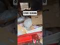 Store closing, they threw everything in the trash!  #dumpsterdiving