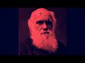 [FREE] Darwin Type Beat *Incident* - "Freestyle"