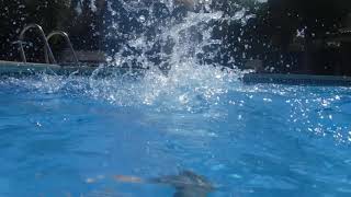 The Ocean, Beach & Pool In Els Poblets Almadravar Spain