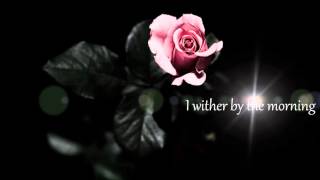 Waiting For the Rain w/ Lyrics [Gakusen Toshi Asterisk OST]