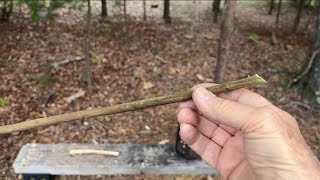 Hand Drill, Dogfennel On Pine, Pine Resin Made It Happen