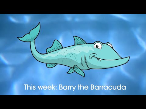 The Aquatots Animals | Barry the Barracuda