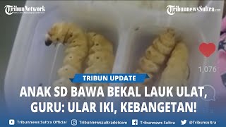 Video Viral Guru Kaget Lihat Murid SD Bawa Bekal Nasi dan Ulat, Komentar Pengajar Disorot Netizen