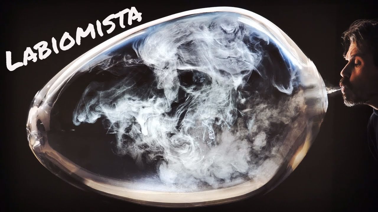 Labiomista - Koen Vanmechelen (kunst)