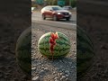 Watch it go from seed to fruit in seconds 🤯 #grapefruit #Satisfying #GardenTok #Mexico #USATikTok