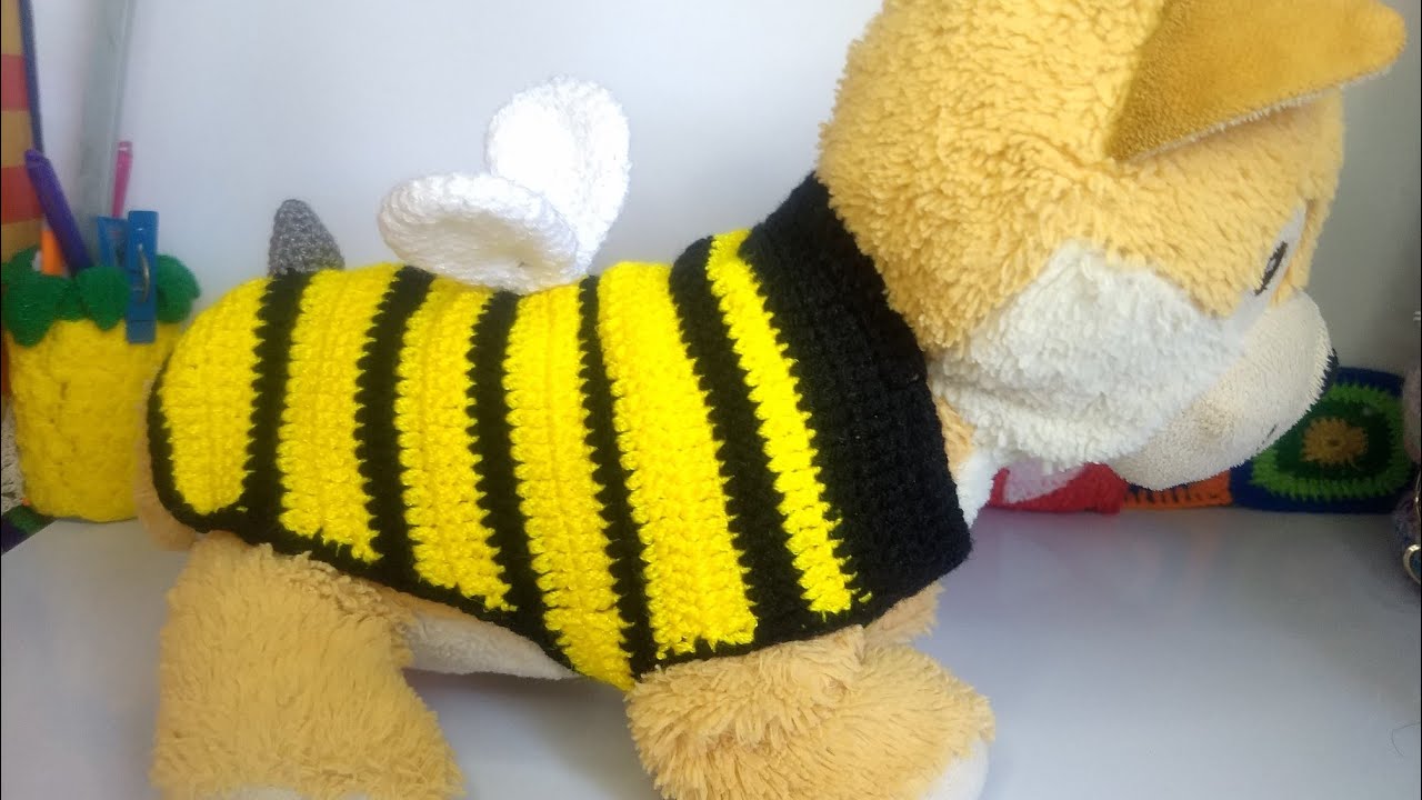 Ardiente cuestionario astronomía 🐝🌺Disfraz de abeja para perrito Tejido a Crochet🐝🌼 ( Fácil y rápido de  realizar)🏵️🐝a medida - YouTube