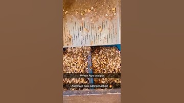 Cashew Processing Unit In Udaipur | Automatic Cashew cutting Machine | Cashew Cutter