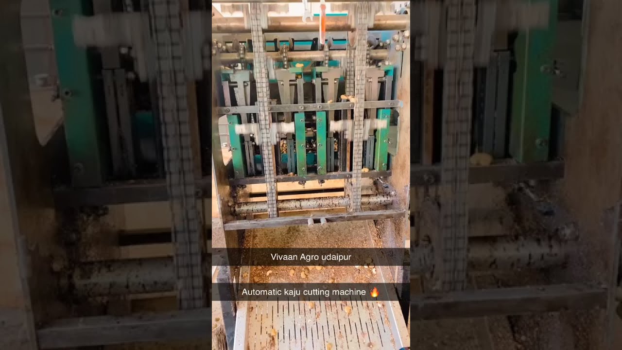 Cashew Processing Unit In Udaipur | Automatic Cashew cutting Machine | Cashew Cutter
