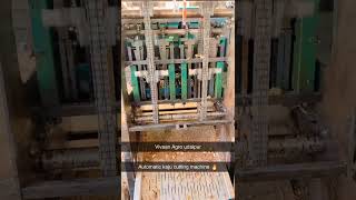 Cashew Processing Unit In Udaipur | Automatic Cashew cutting Machine | Cashew Cutter