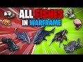 All Fishes In Warframe