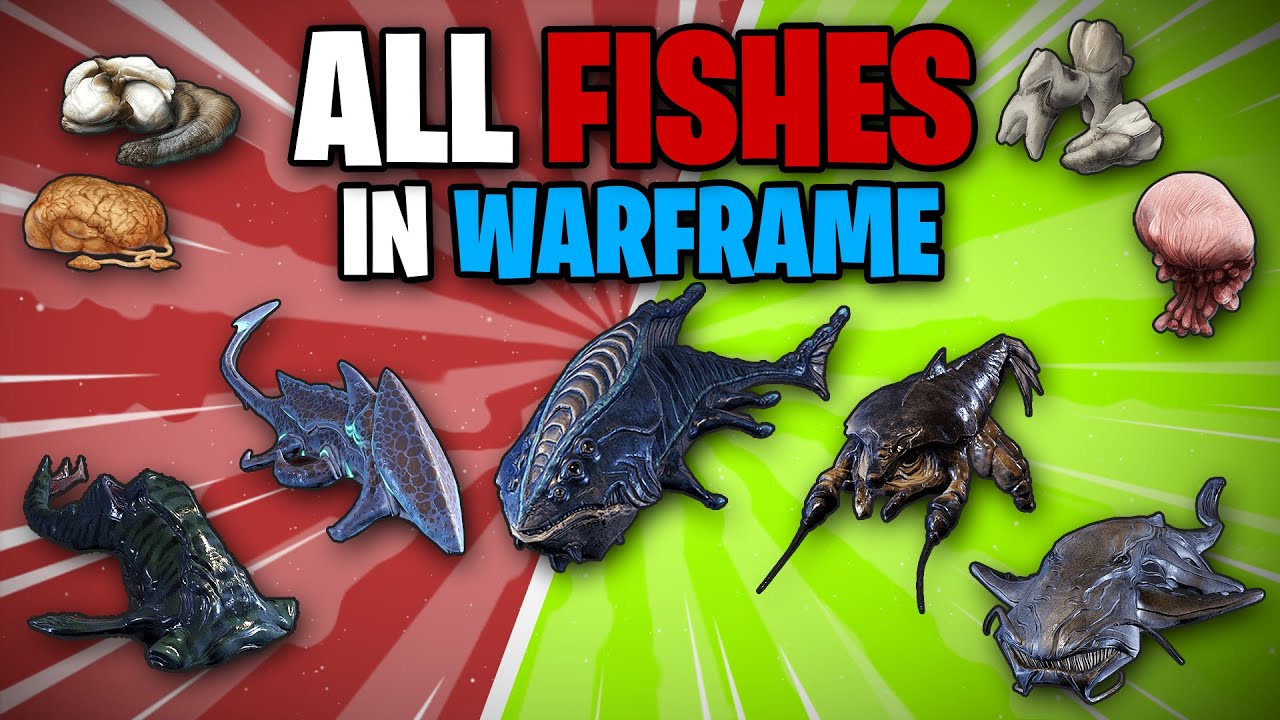 All Fishes In Warframe