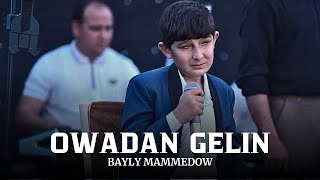 Bayly Mammedow - Owadan Gelin | Turkmen Halk Aydym 2024 | Turkmen Toyy | Folk Song