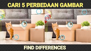 Bantu Aku Menemukan Perbedaan Gambar Game Find Differences‼️ screenshot 5