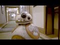BB-8に密着取材！『スター・ウォーズ／最後のジェダイ』ロンドンプレミア舞台裏オモシロ映像公開！