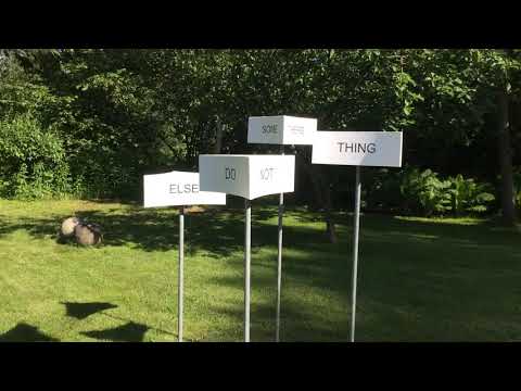 IMG 3118