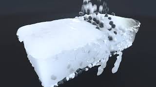 ATECARMA Animation 2019