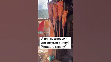 Где попробовать морскую свинку в Перу? Самый лучший Куй здесь!