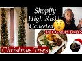 💫✨VLOGMAS DAYS : CANCELED SHOPIFY ORDERS + PUTTING UP CHRISTMAS TREE 🎄 AND COME COOK WITH ME