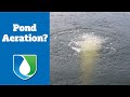Pond & Lake Aeration Explained