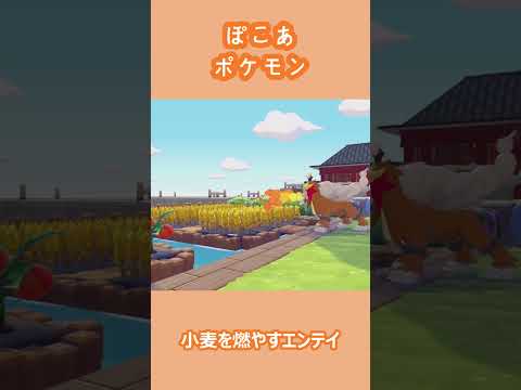 【ぽこあポケモン】小麦を燃やすエンテイ【奇行】