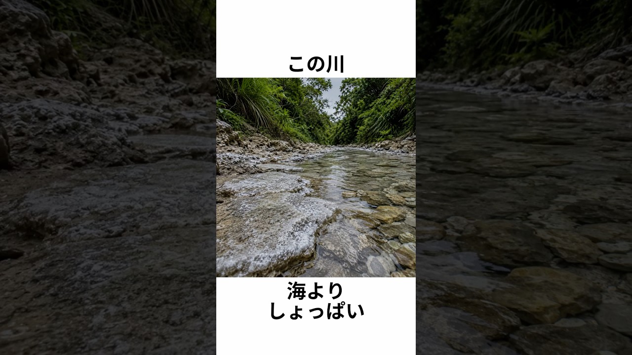 この川、海よりしょっぱい。