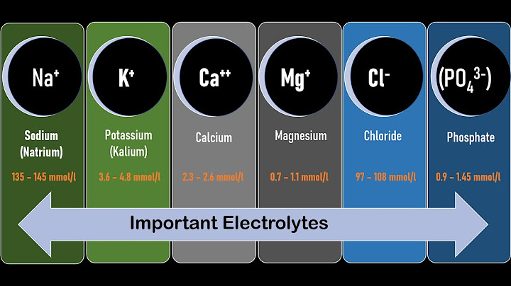 What are the functions of electrolytes within the human body?