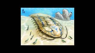 Isotelus / Trilobite Gigante / PaleoPedias 🇺🇲