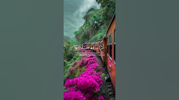 وما كنا معذبين حتى نبعث رسولا(تلاوة من سورة الإسراء)🌿قرآن كريم 🌿القارئ أحمد حمادي