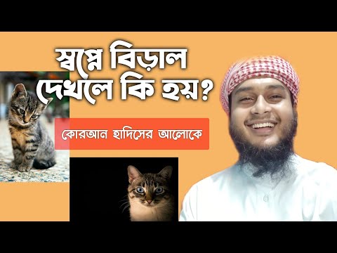 shopne biral dekhle ki hoy | স্বপ্নে বিড়াল দেখলে কি হয় | স্বপ্নে বিলাই দেখলে কি হয় | dream cat