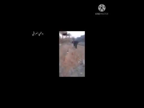 لا مستحيل اترو  