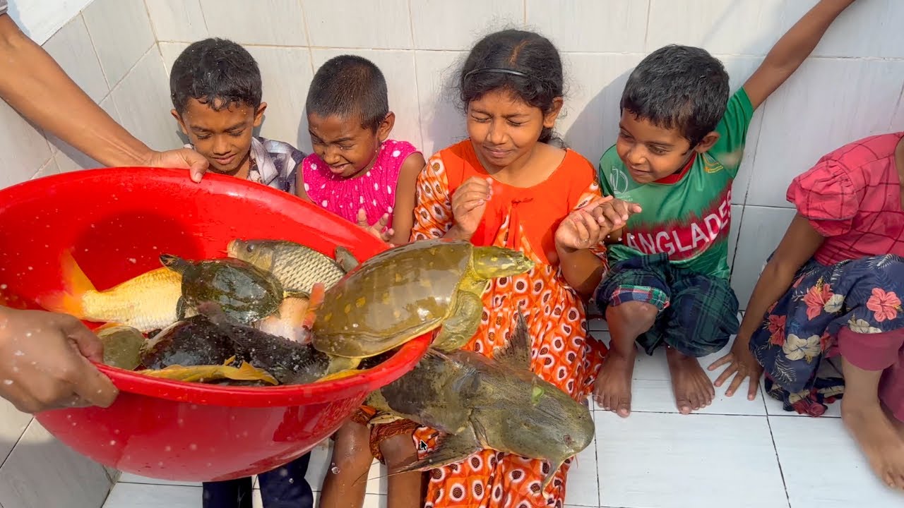 Biggest Fish Aquarium Cleaning for Kids Relaxing 4K Ultra HD Fish Tank 