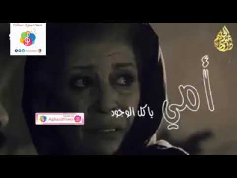 أمي ياكل الوجود