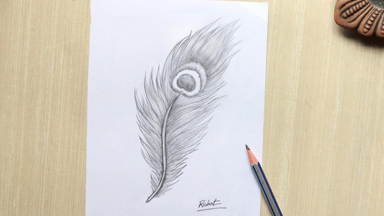 Share 81+ feather sketch art super hot - seven.edu.vn