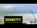 Chasing Birds and I Caught a SHARK Surf Fishing [Part 1 of 2]