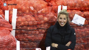 The internet of onions