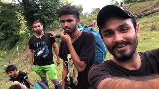 India To America Donkey Route Dangerous Panama Jungle Donkey Yatra