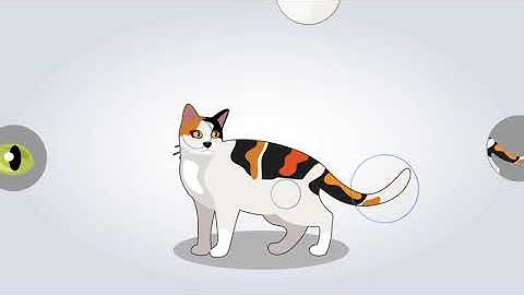 2.3 องค์ประกอบที่ 3 การคิดเชิงนามธรรม (Abstraction)