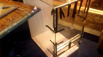 Juvenile Mangrove Monitor Taming enclosure part 2