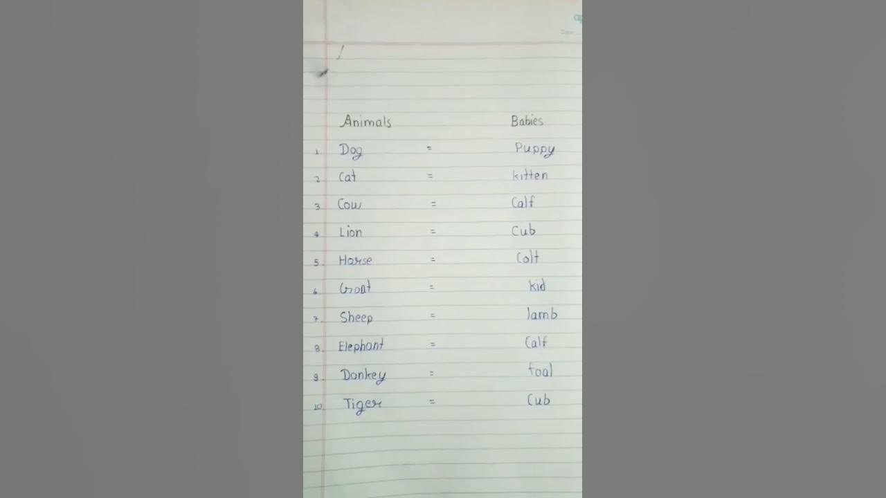 Animals And Uske Bacho Ke Name viral shorts short YouTube animals-and-uske-bacho-ke-name-viral-shorts-short-youtube