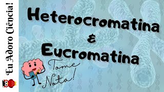 TOME NOTA: Heterocromatina e Eucromatina