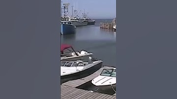 The highest tides in the world